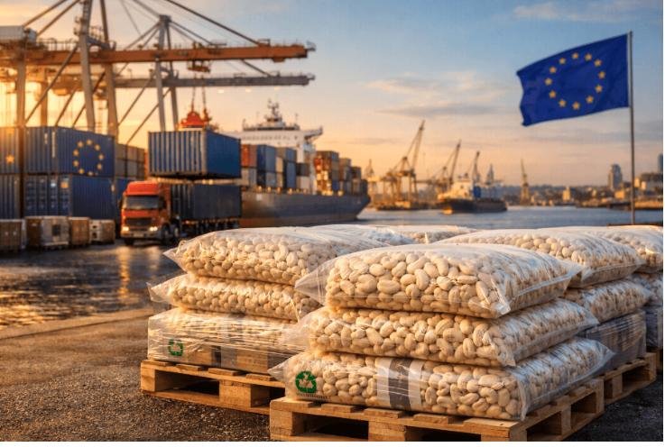 Export Cashew Nuts to Europe: Complete EU Compliance & Market Guide 2025
