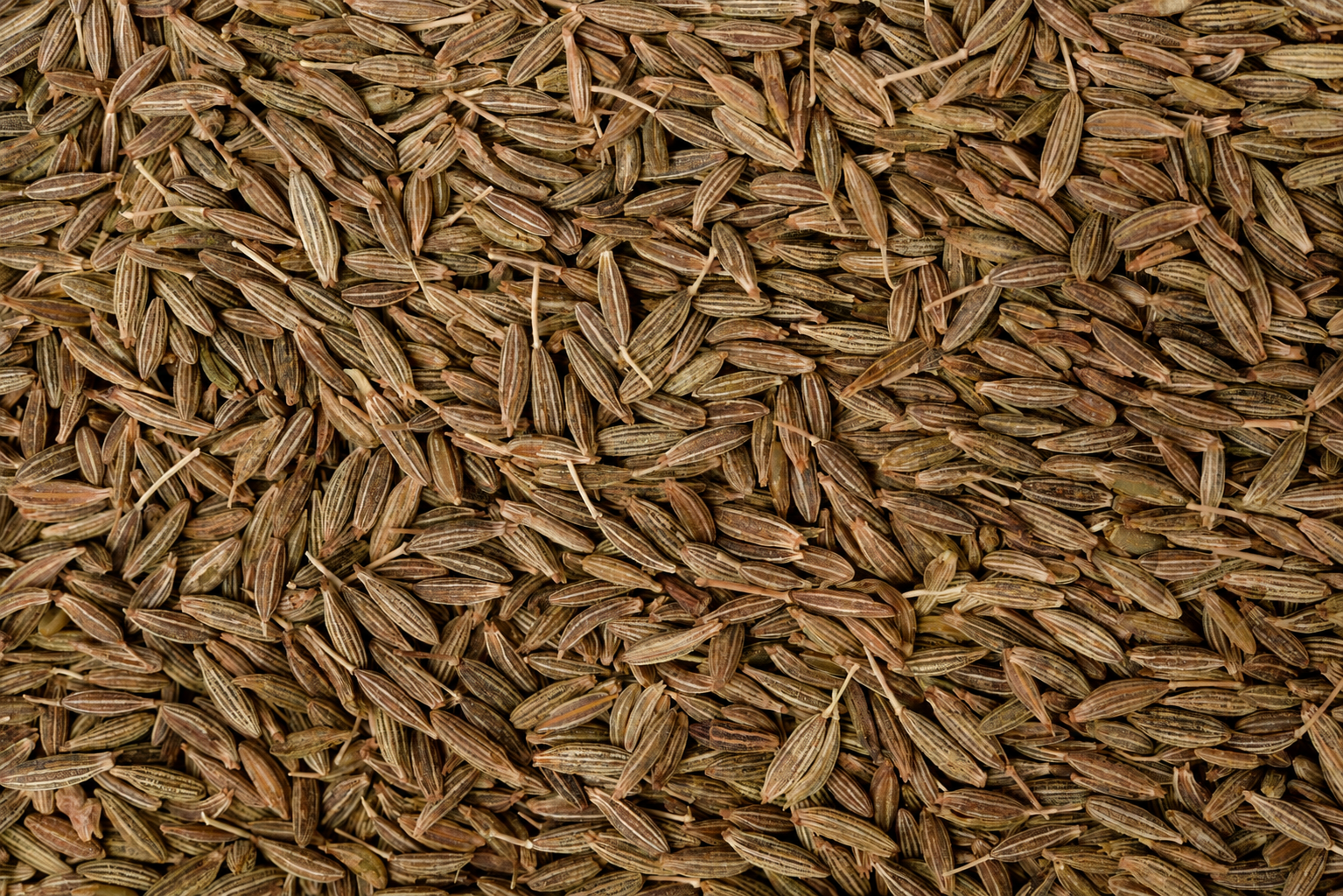 Wooden scoops filled with cumin seeds and spices