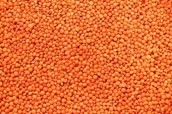 Pile of red lentils