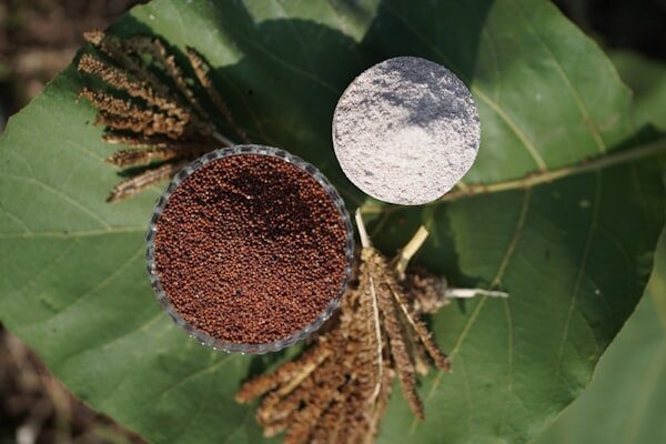 Small grains and seeds on a leaf