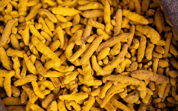 Dried turmeric root pieces and powder on wood
