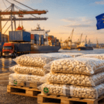 export cashew nuts to europe