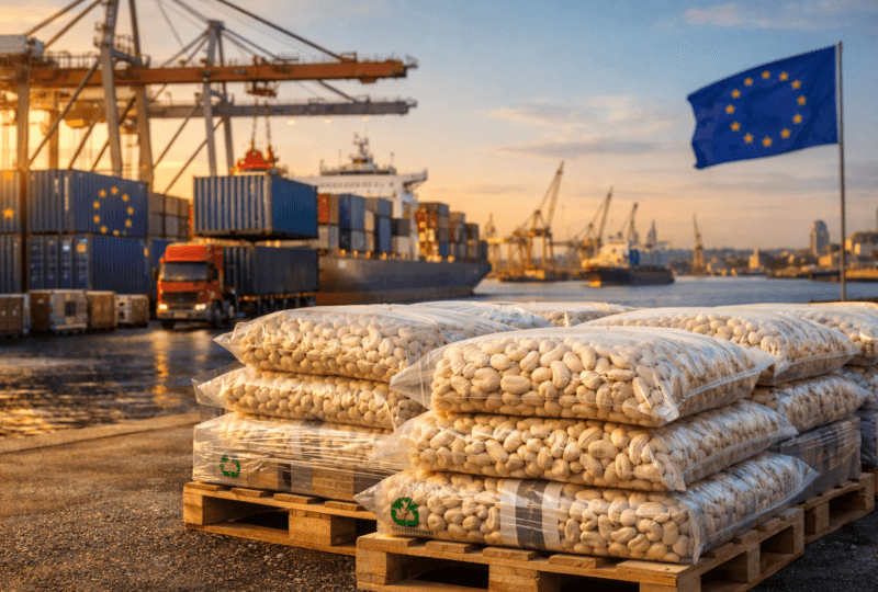 export cashew nuts to europe