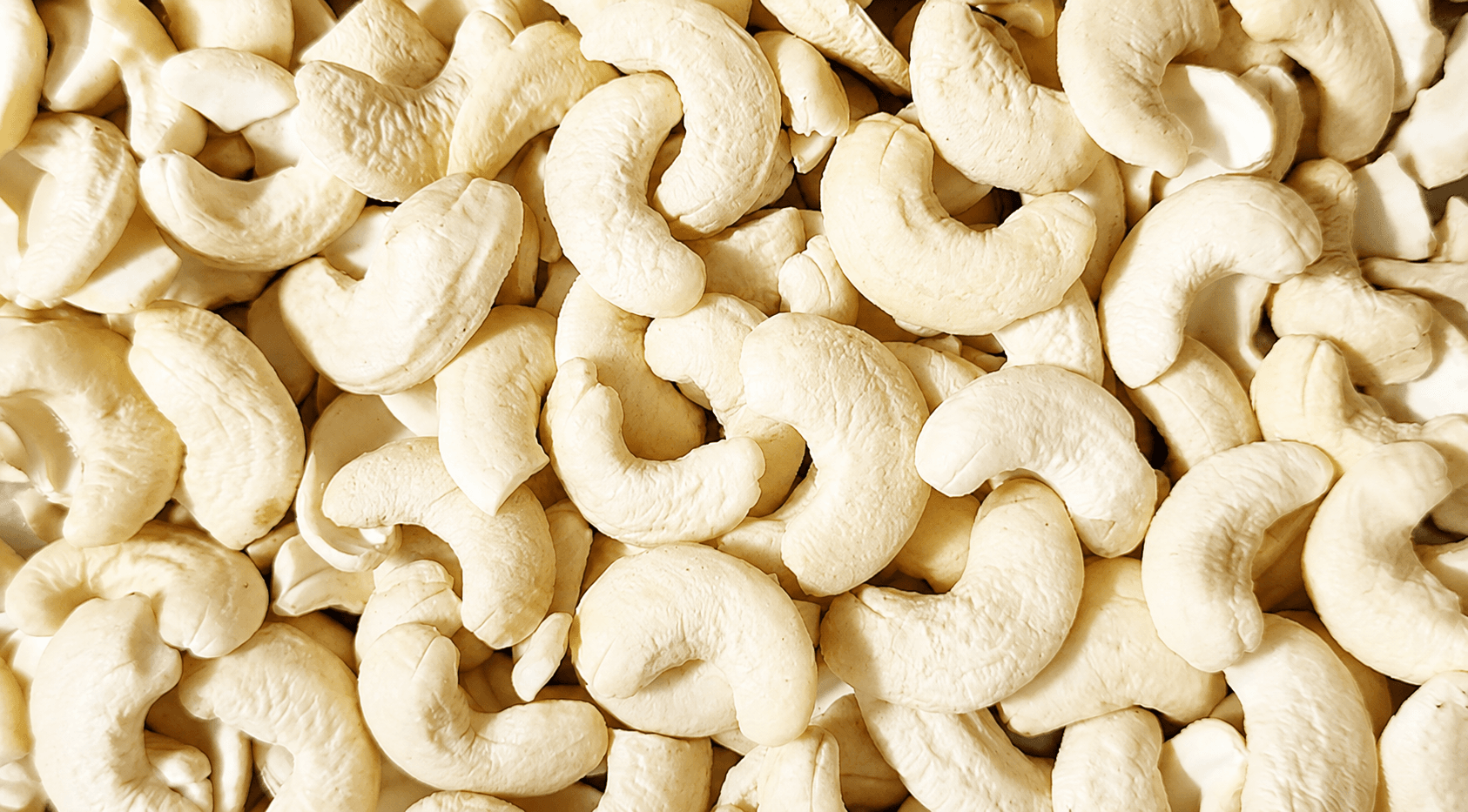 Cashew
